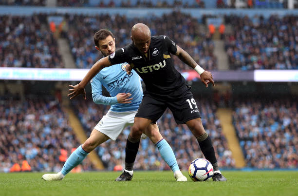 乏观赏性 乏观赏性