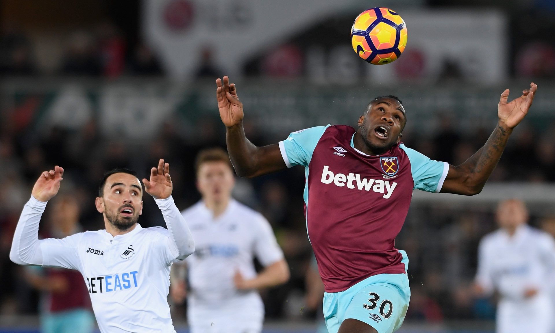 地发挥其能 地发挥其能