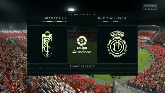 岁的王子菲 岁的王子菲